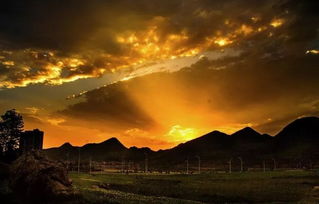 浮云游子意，落日故人情 古詩詞中的思鄉與友情